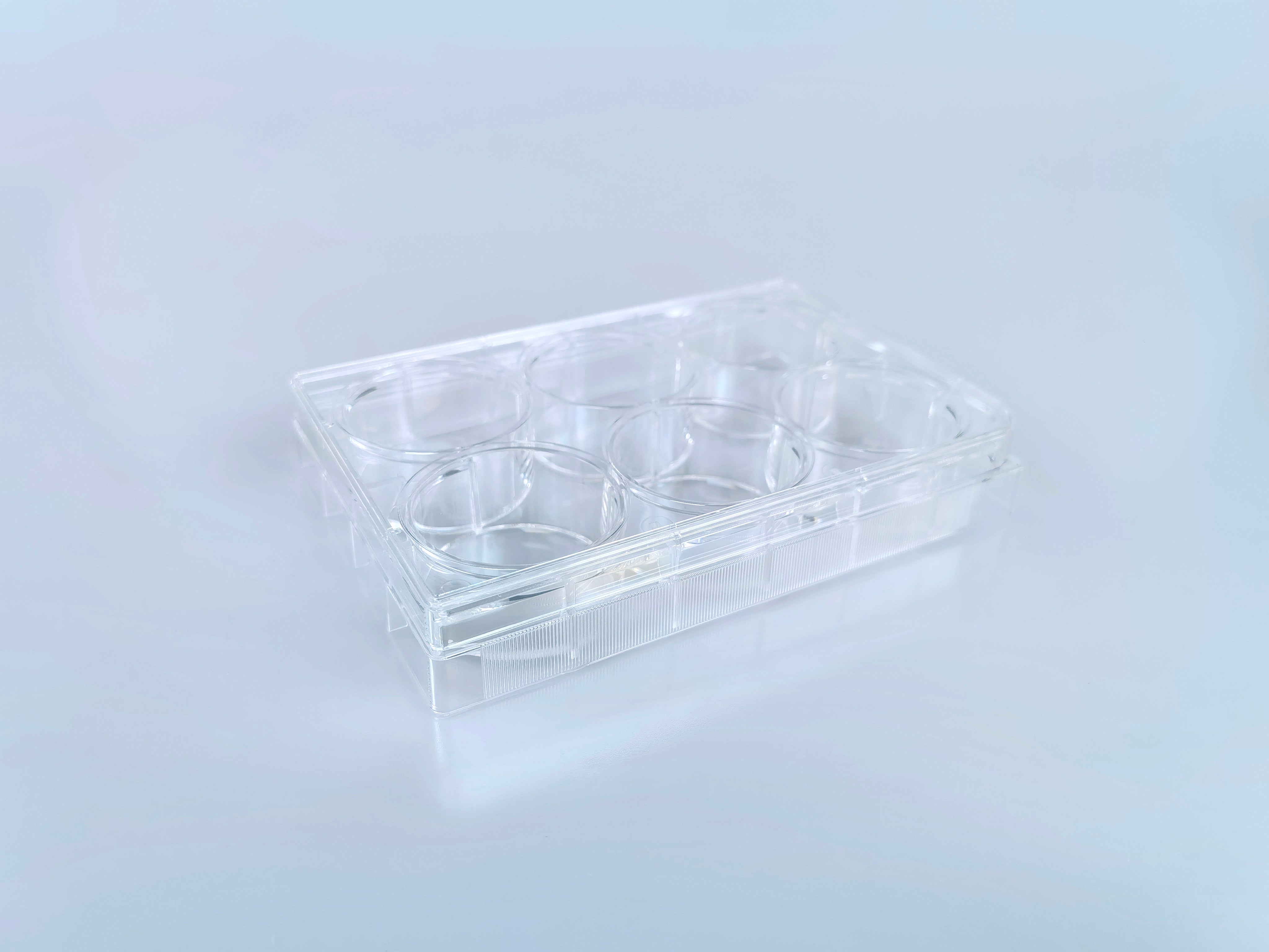 6 Well Cell Culture Plate