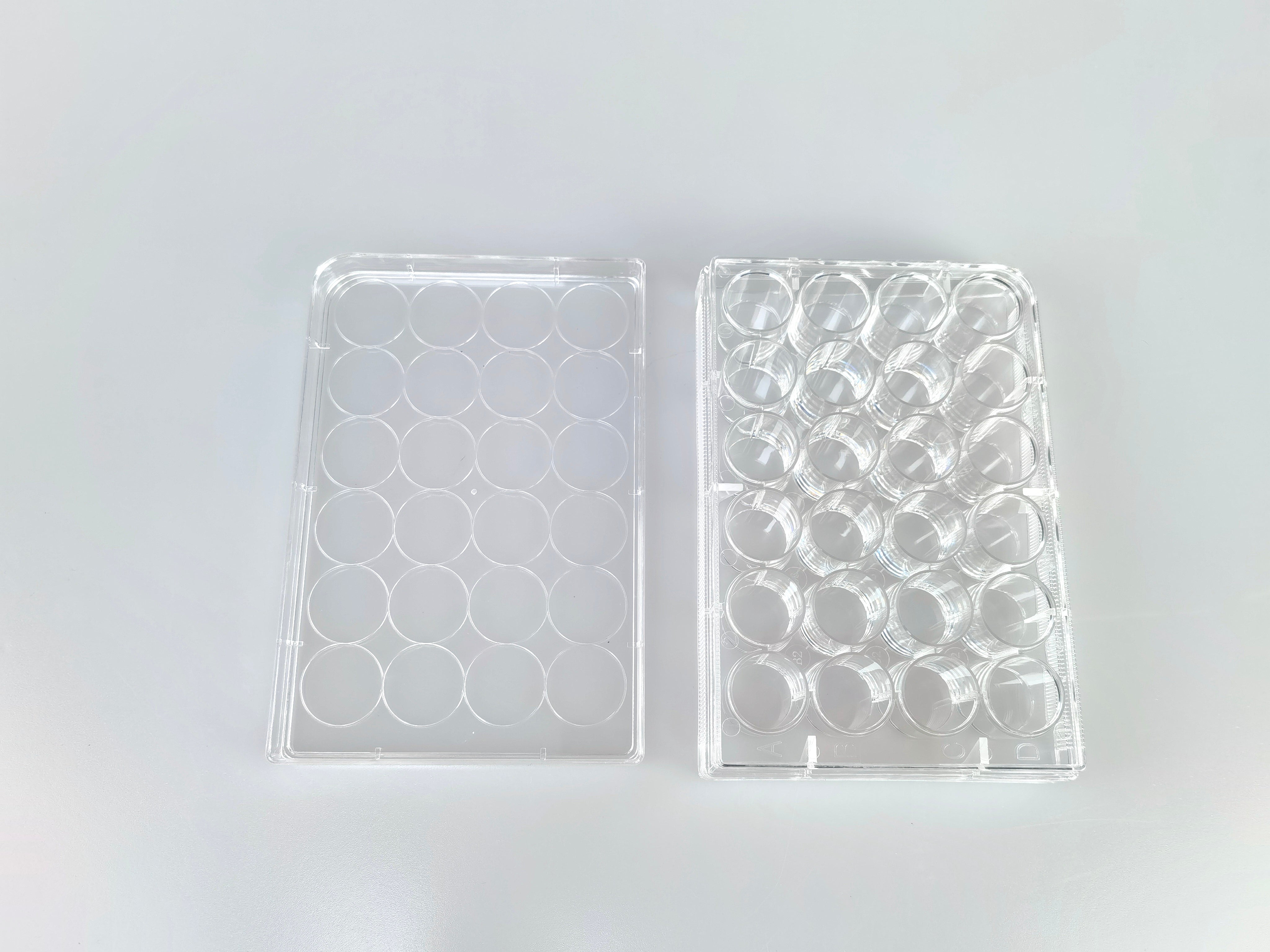 24 Well Cell Culture Plate