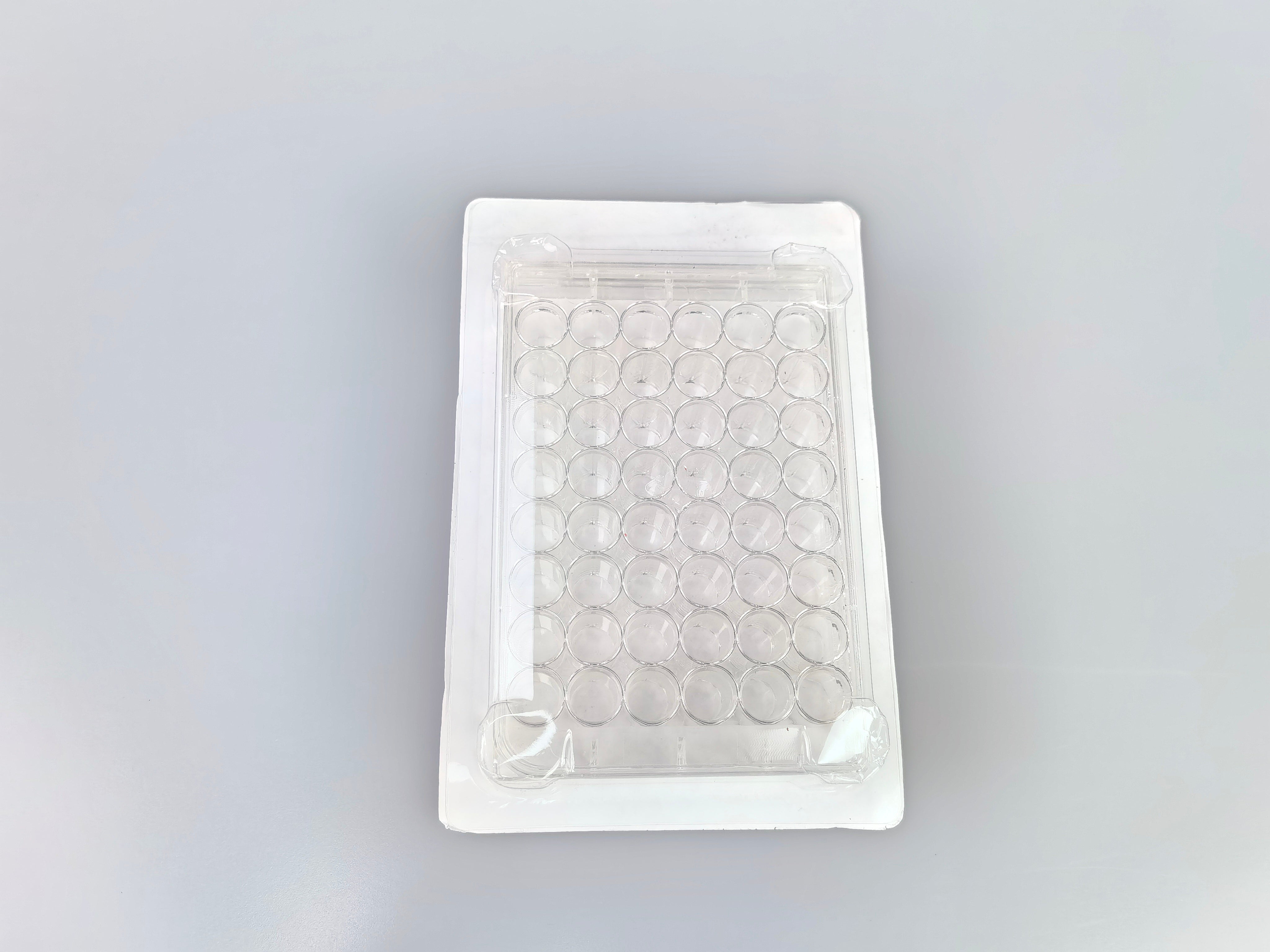 48 Well Cell Culture Plate