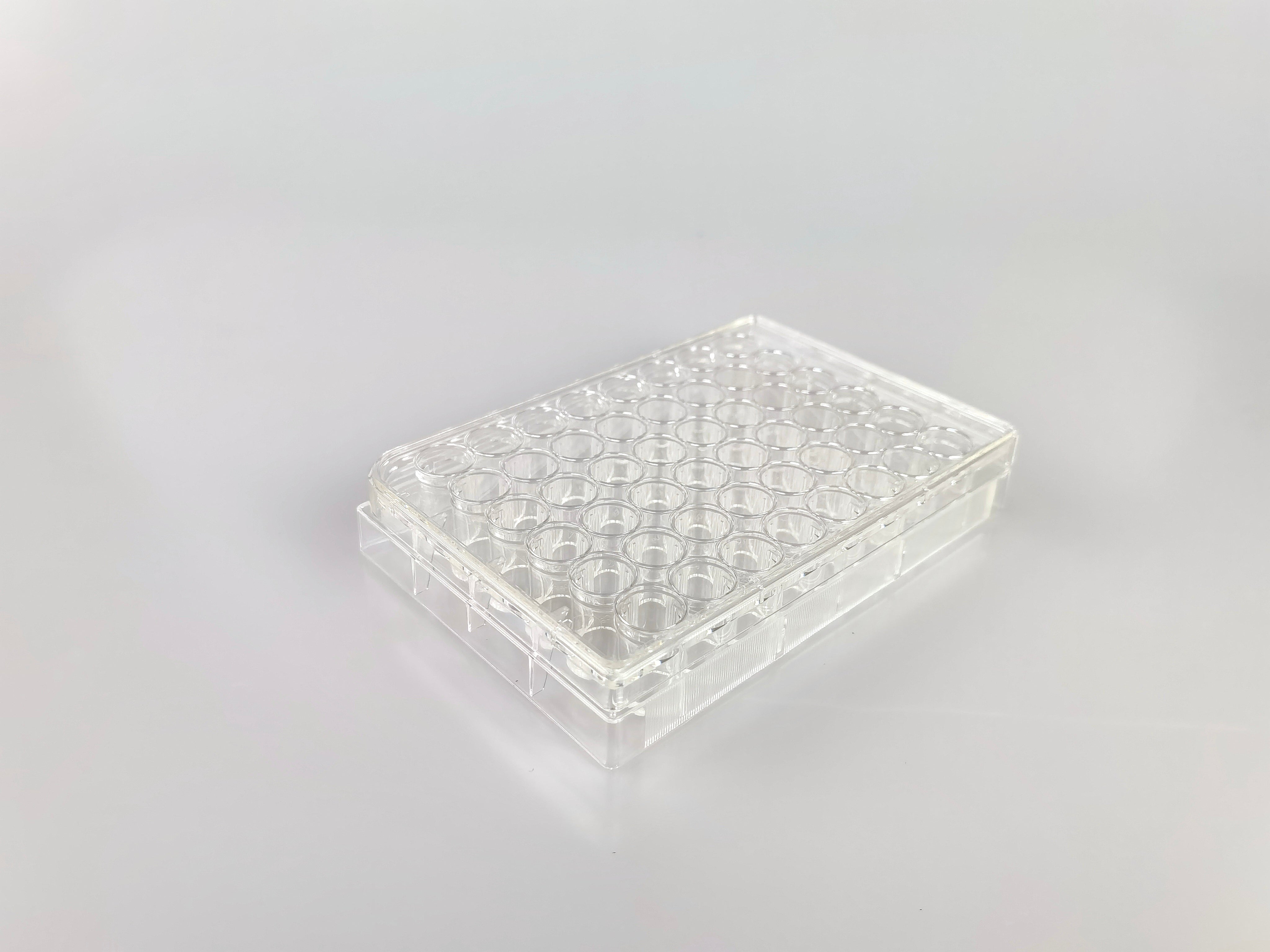 48 Well Cell Culture Plate