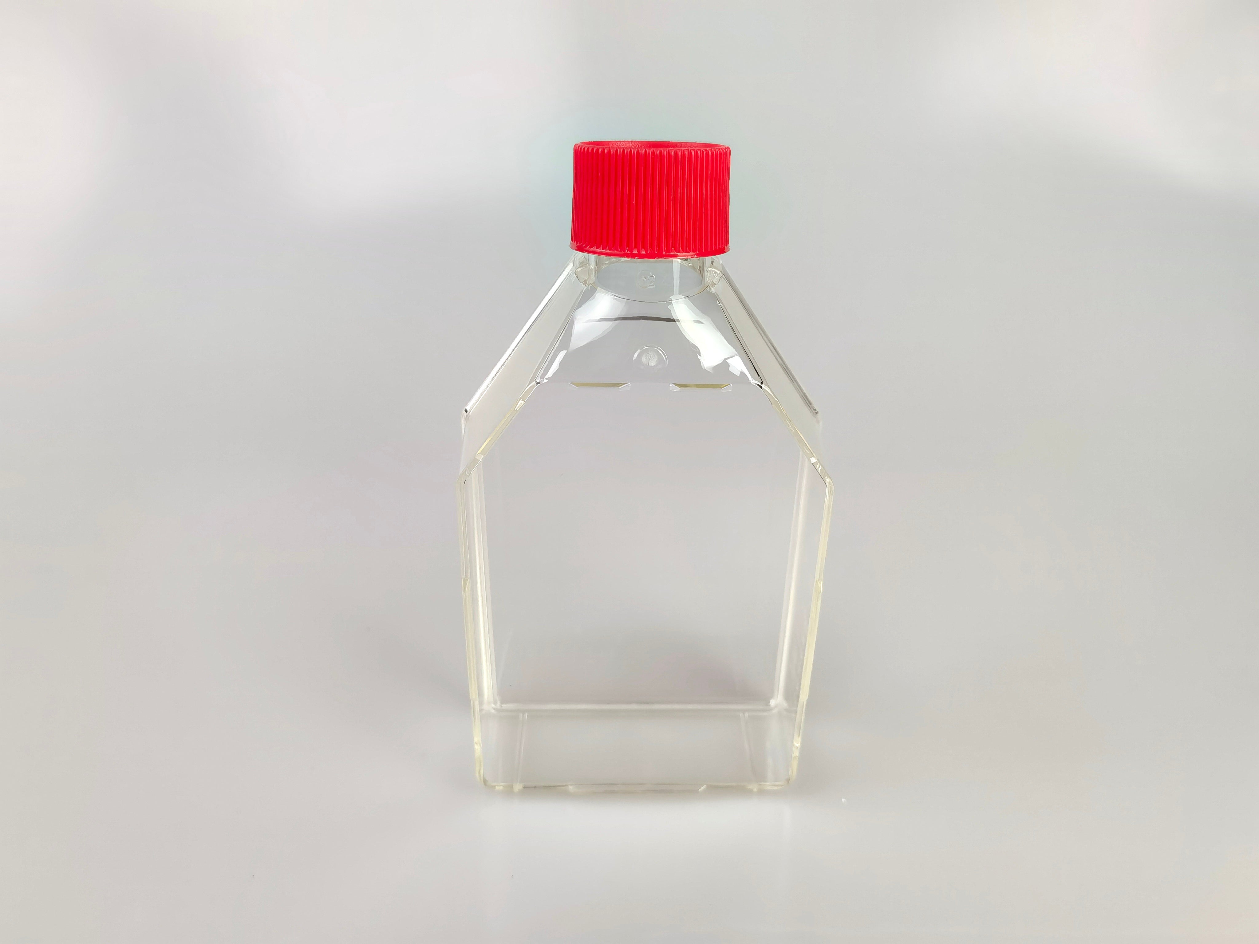75cm² Cell Culture Flask, Vent Cap, TC treated